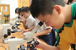 显微镜在各个领域中有着不可替代的作用